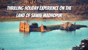 Thrilling Holiday Experience on the land of Sawai Madhopur