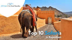 Top 10 Safaris In Rajasthan