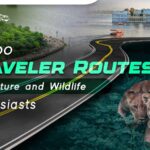 Udaipur on Wheels: Tempo Traveler Routes for Nature and Wildlife Enthusiasts